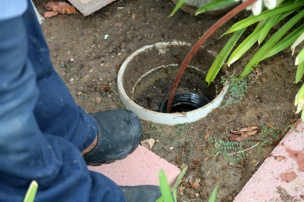 Clear the Blockage, Restore the Flow with Expert Drain Clearing