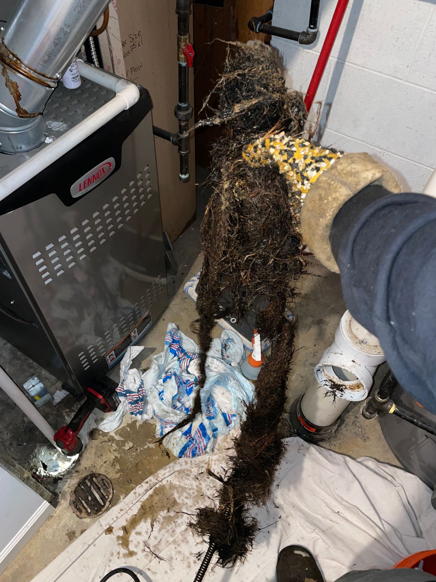 From Pipes to Pockets How Video Inspection Services Save You Money
